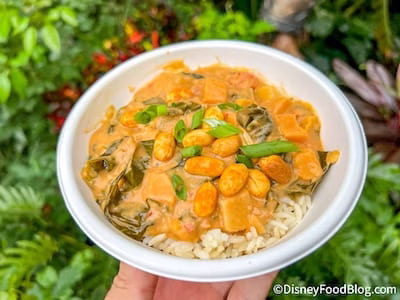 Peanut Stew Disney soup recipe