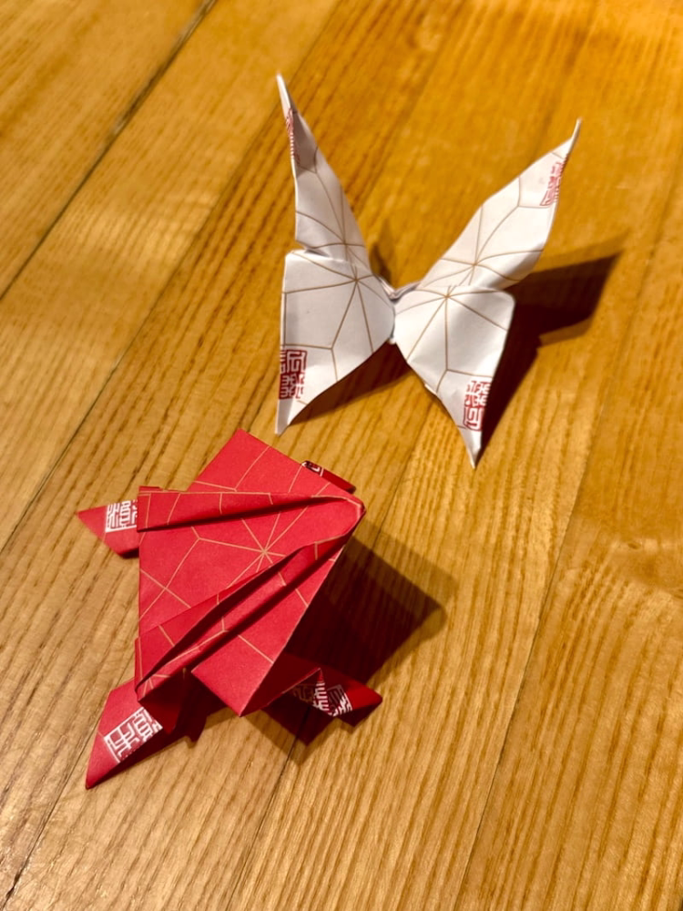 origami from Morimoto Asia