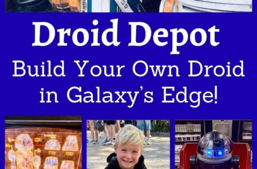 Droid Depot: Build Your Own Droid in Galaxy's Edge