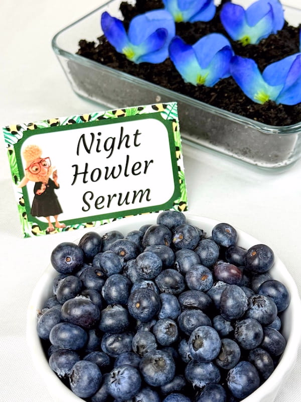 Night Howler Serum berries for Zootopia themed dinner
