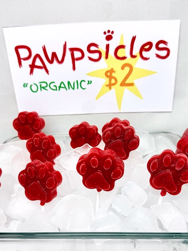 Nick's Pawpsicles for Zootopia themed dinner