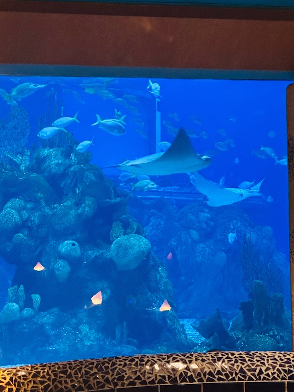 Coral Reef restaurant aquarium