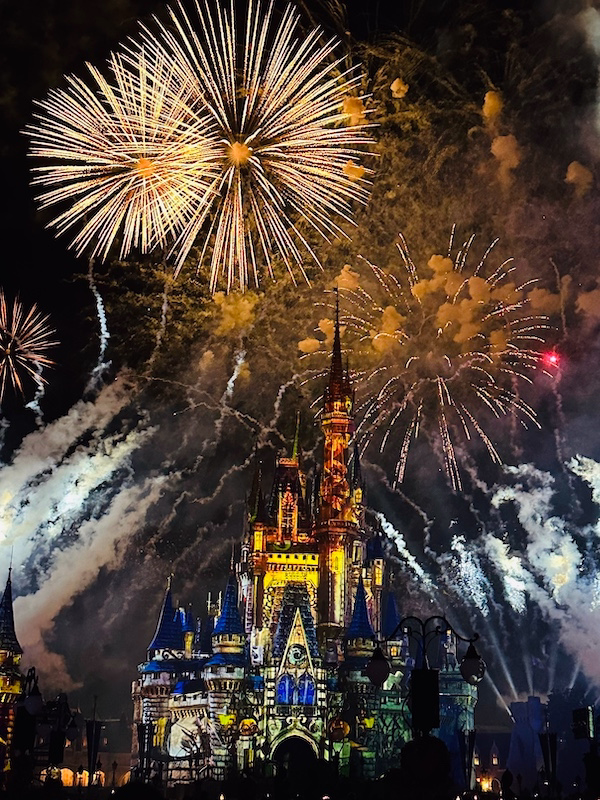 Disney's Not-So-Spooky Spectacular